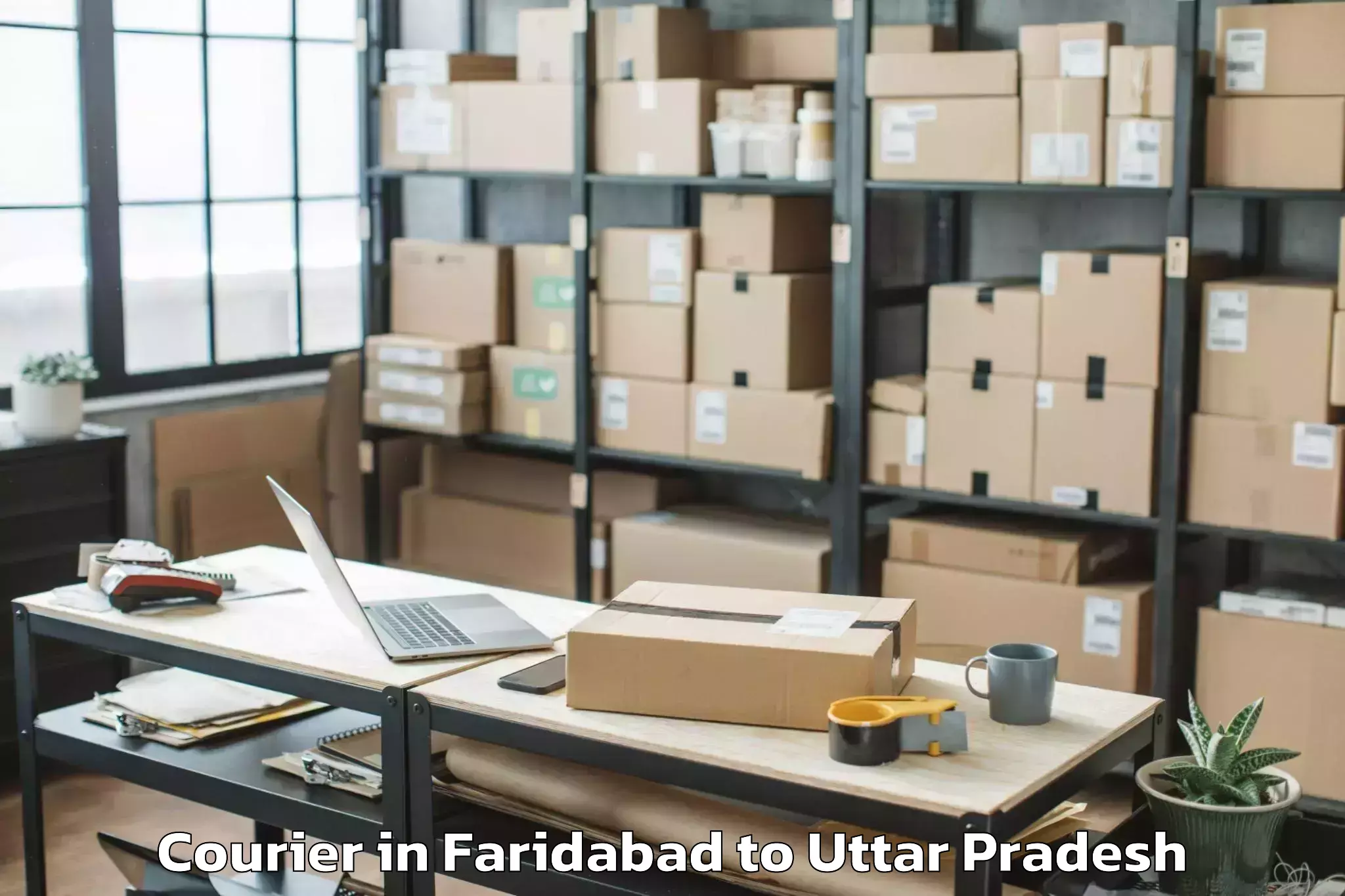 Easy Faridabad to Uttar Pradesh University Of Me Courier Booking